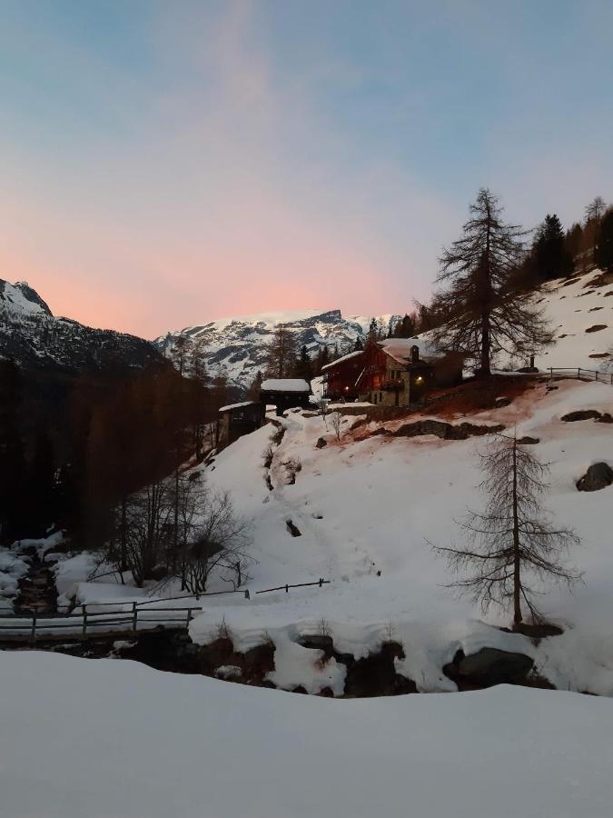 Apartmán Piccola Residenza Champoluc Exteriér fotografie